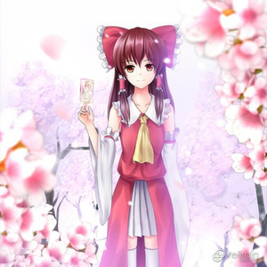 中东大码美女阴毛视频
